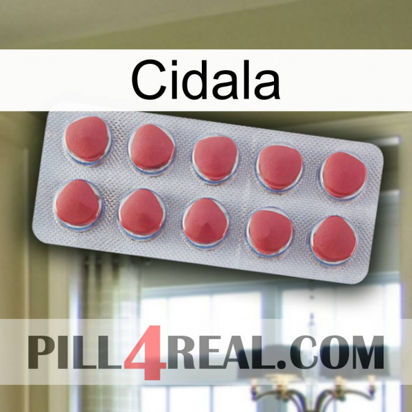 Cidala 18